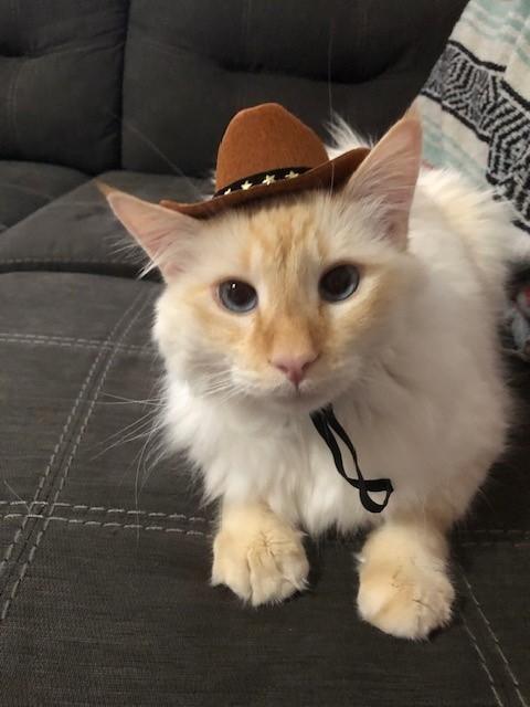 Rafiki — thumbnail 5