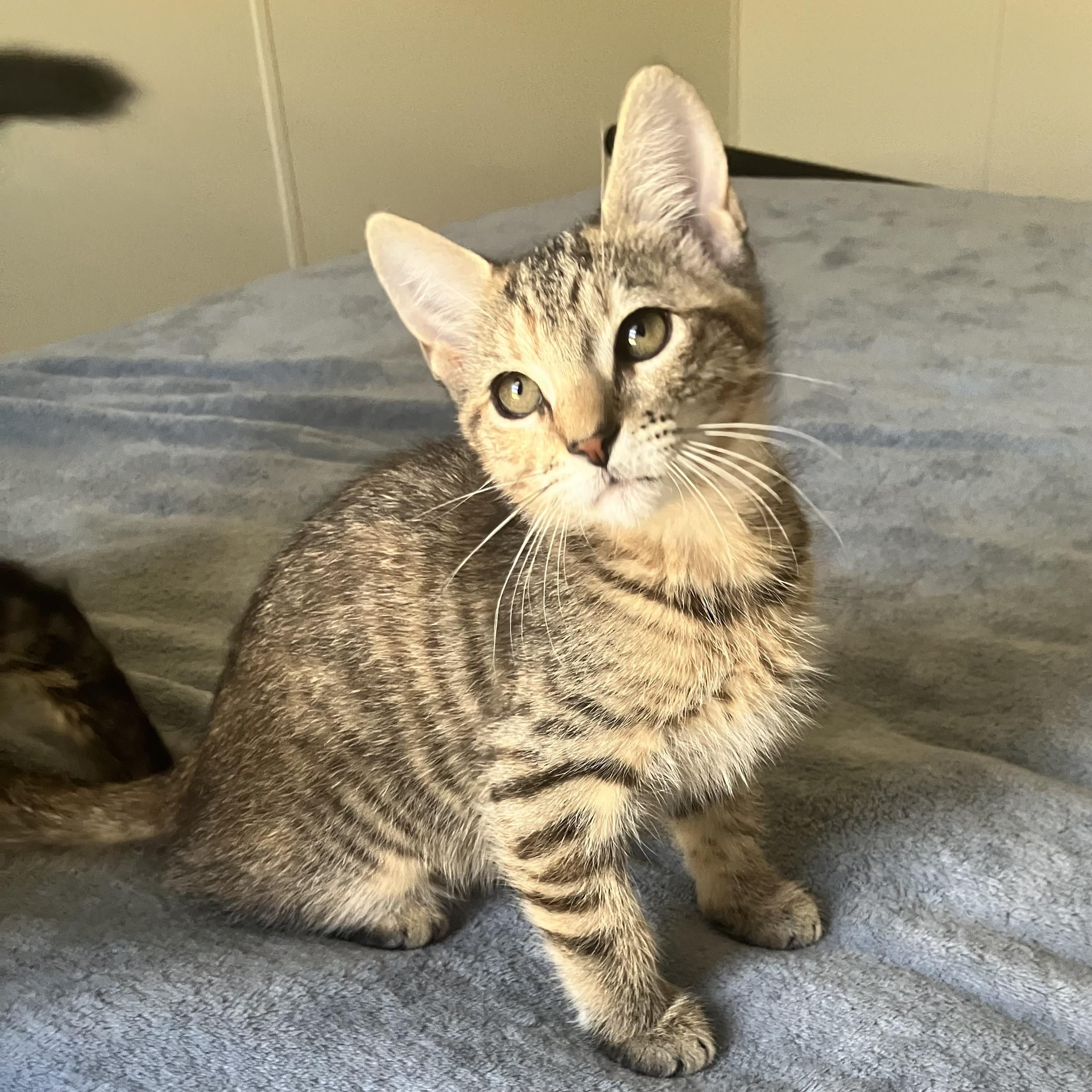 Chloe — thumbnail 3