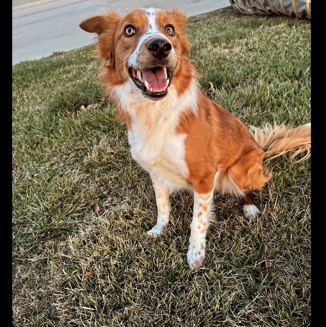 COURTESY LISTING! Remy COURTESY LISTING! — thumbnail 2