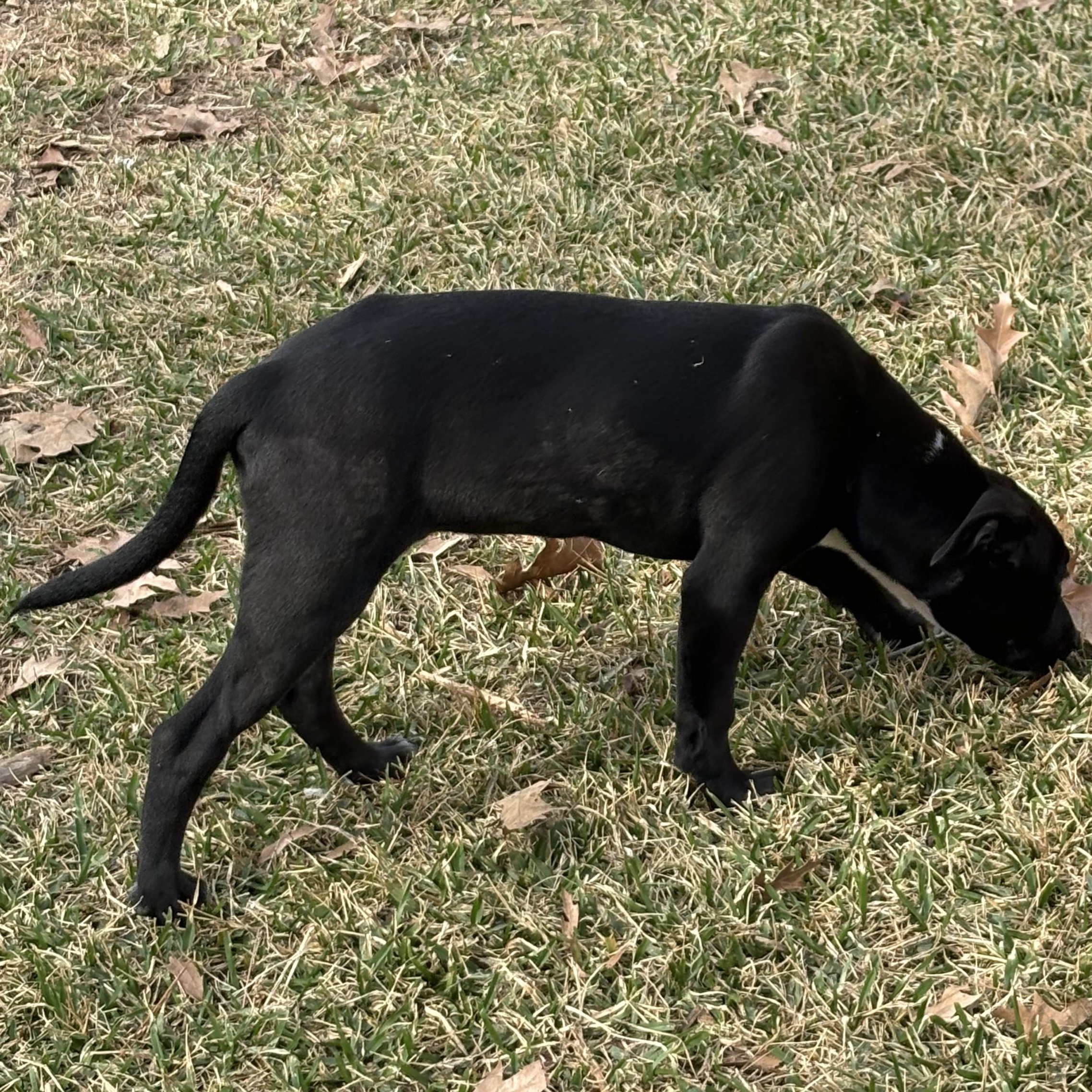 Orbit — thumbnail 3