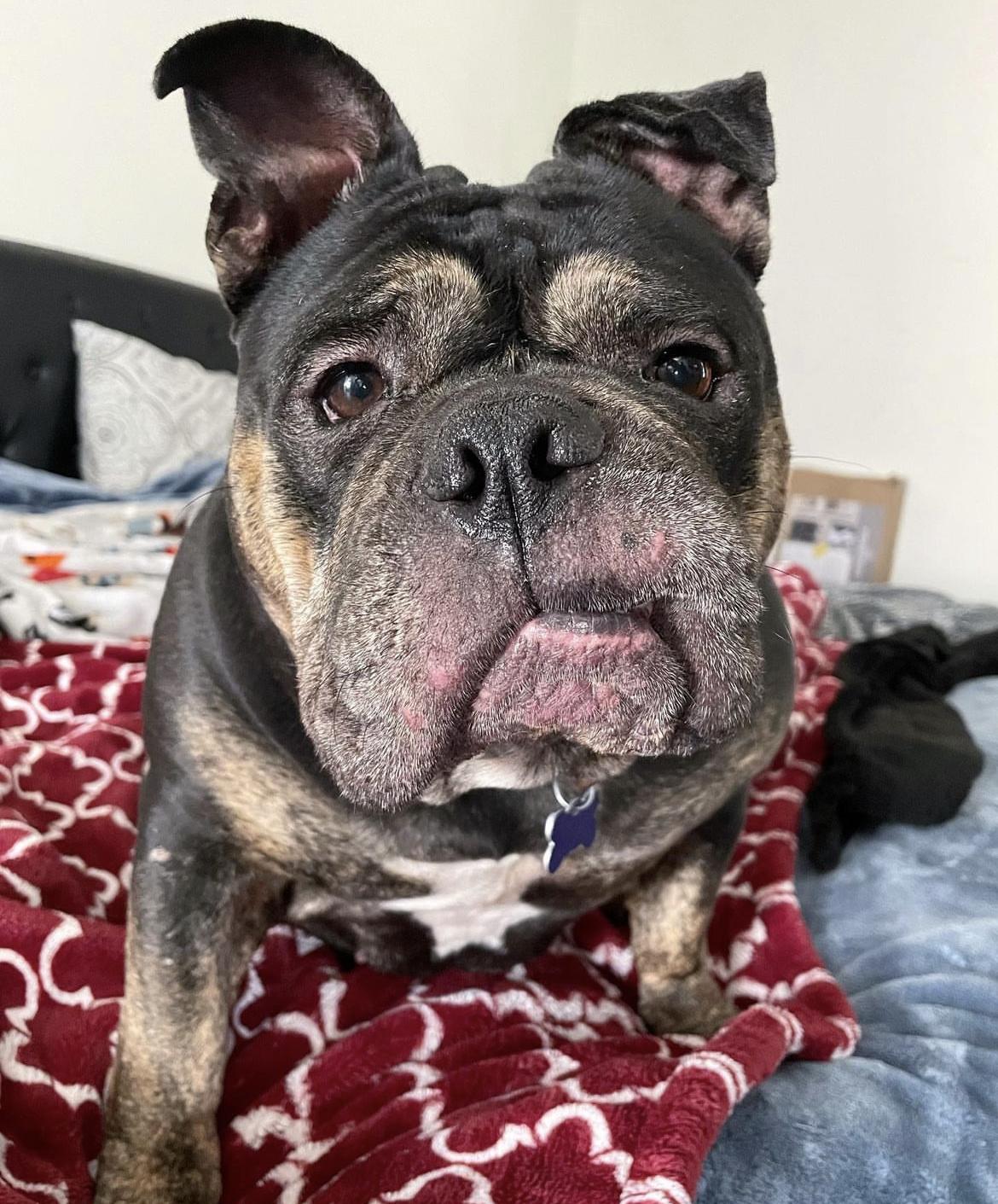 Truffle