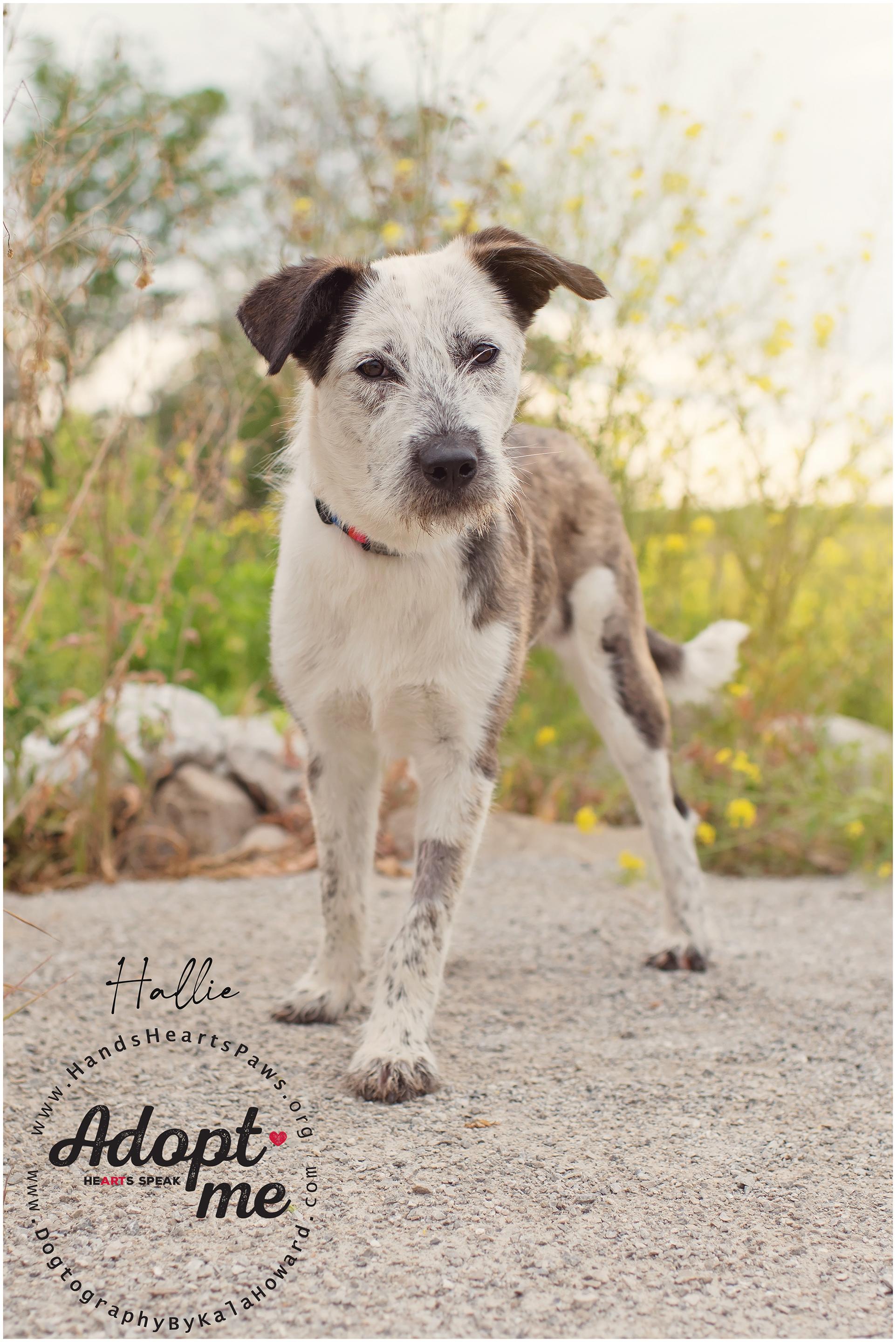 Hallie thumbnail 5