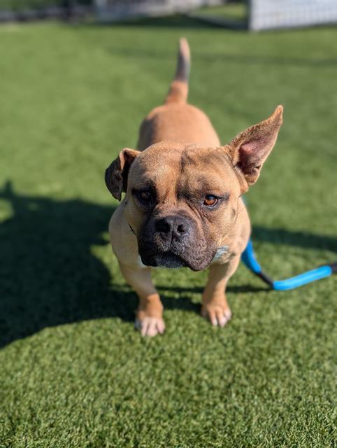 LUCKY — thumbnail 2