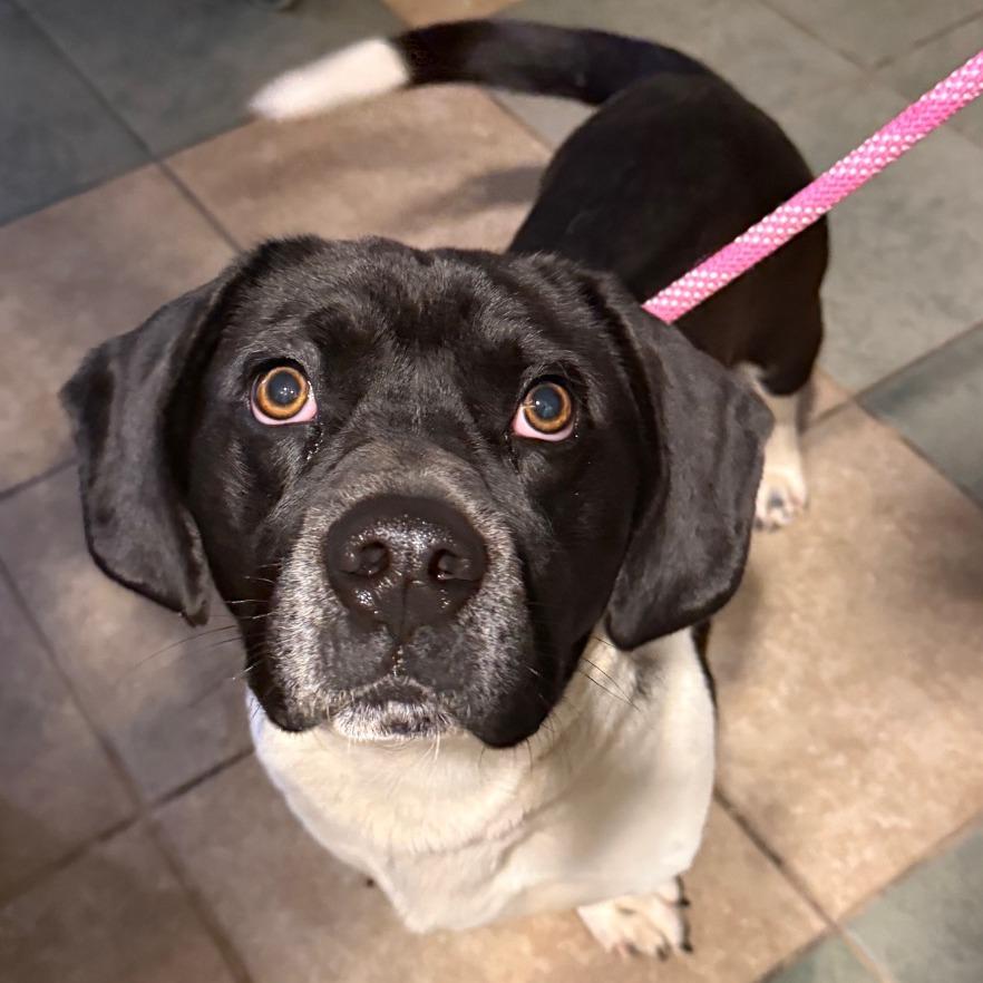 Marvin — thumbnail 2