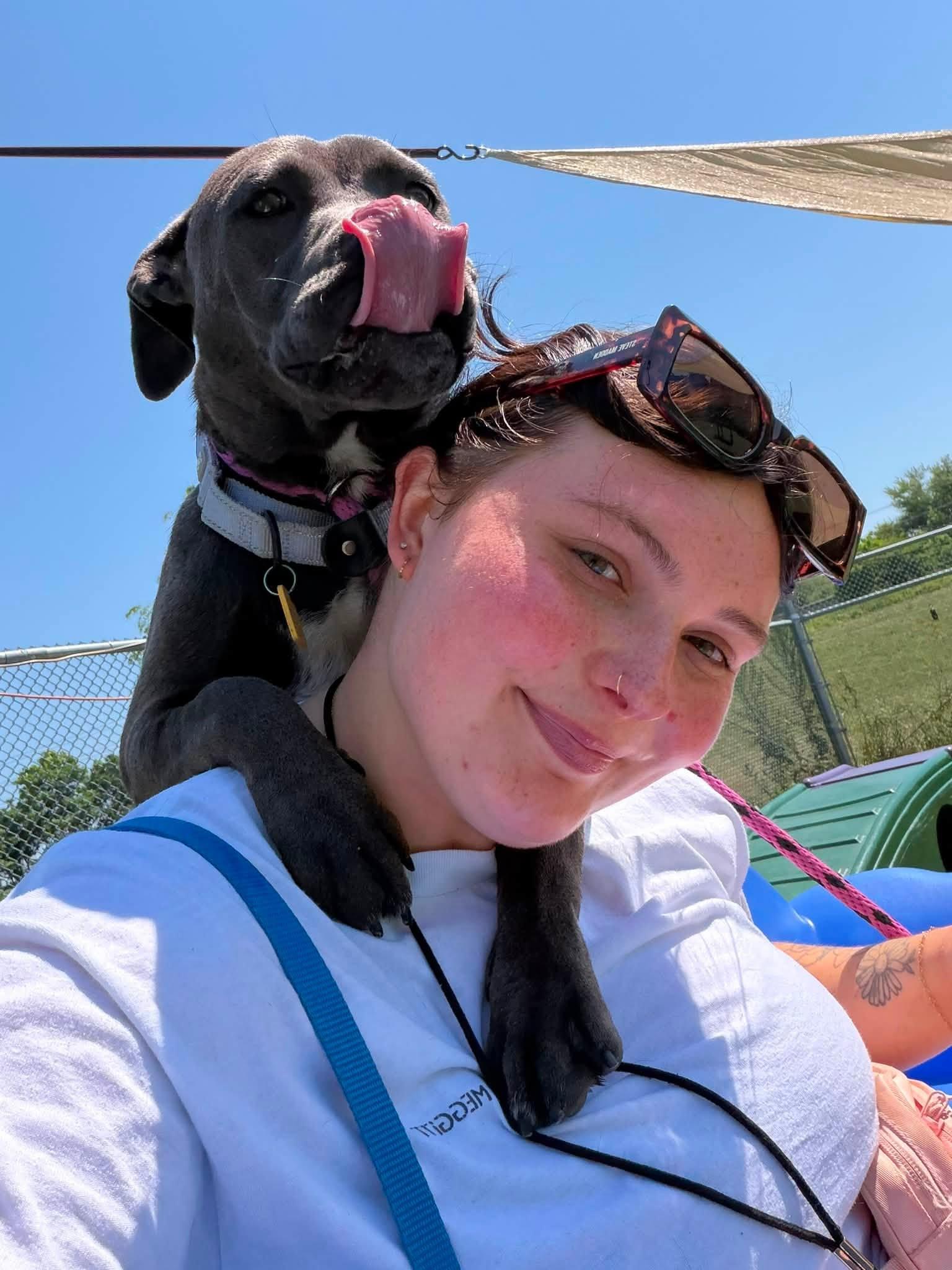 Enlarge Soleil, a ADOPTABLE mixed breed in Cleveland, OH image 3/6
