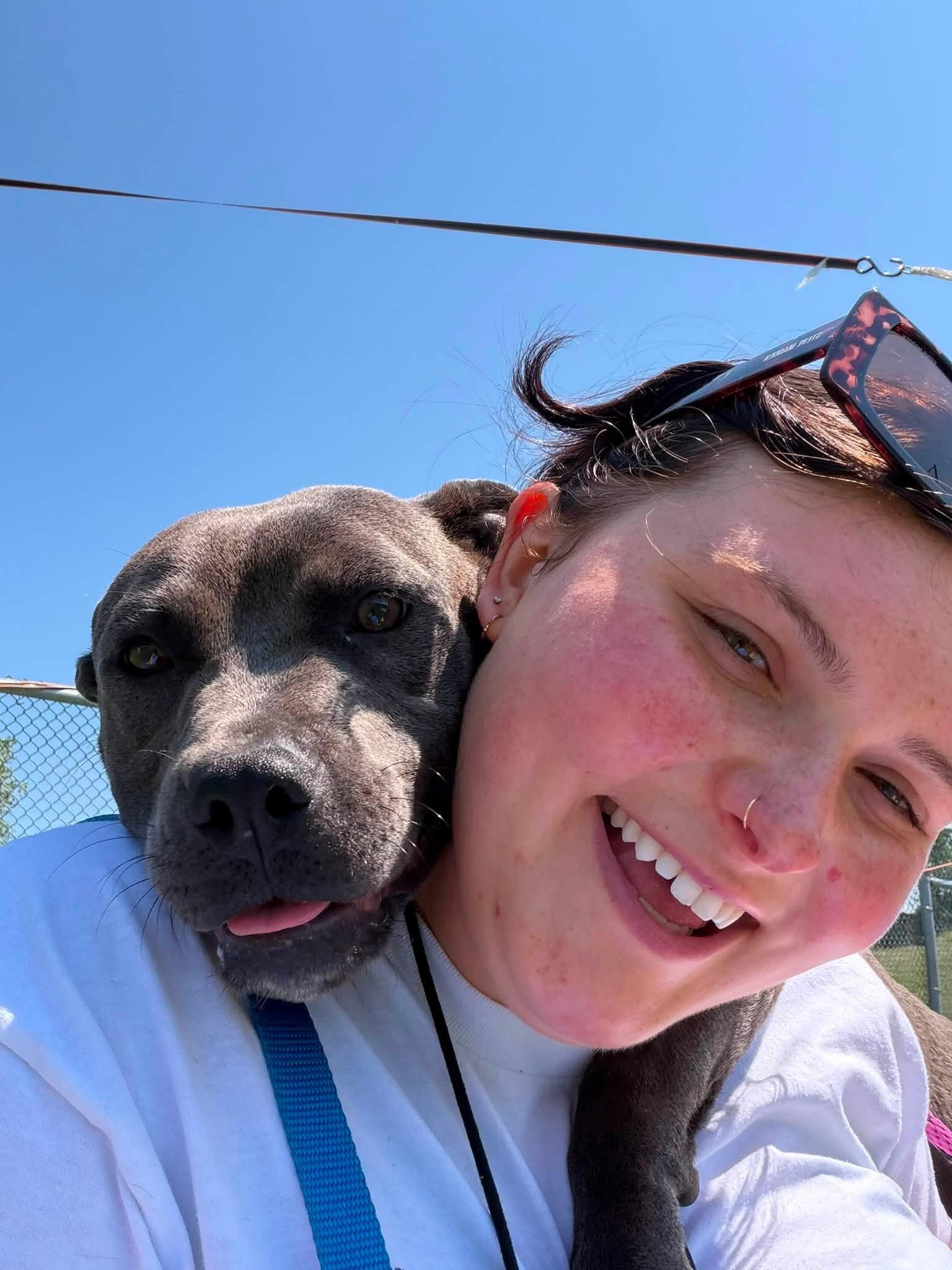 Enlarge Soleil, a ADOPTABLE mixed breed in Cleveland, OH image 2/6