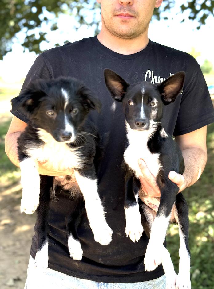 Rufus and Lola