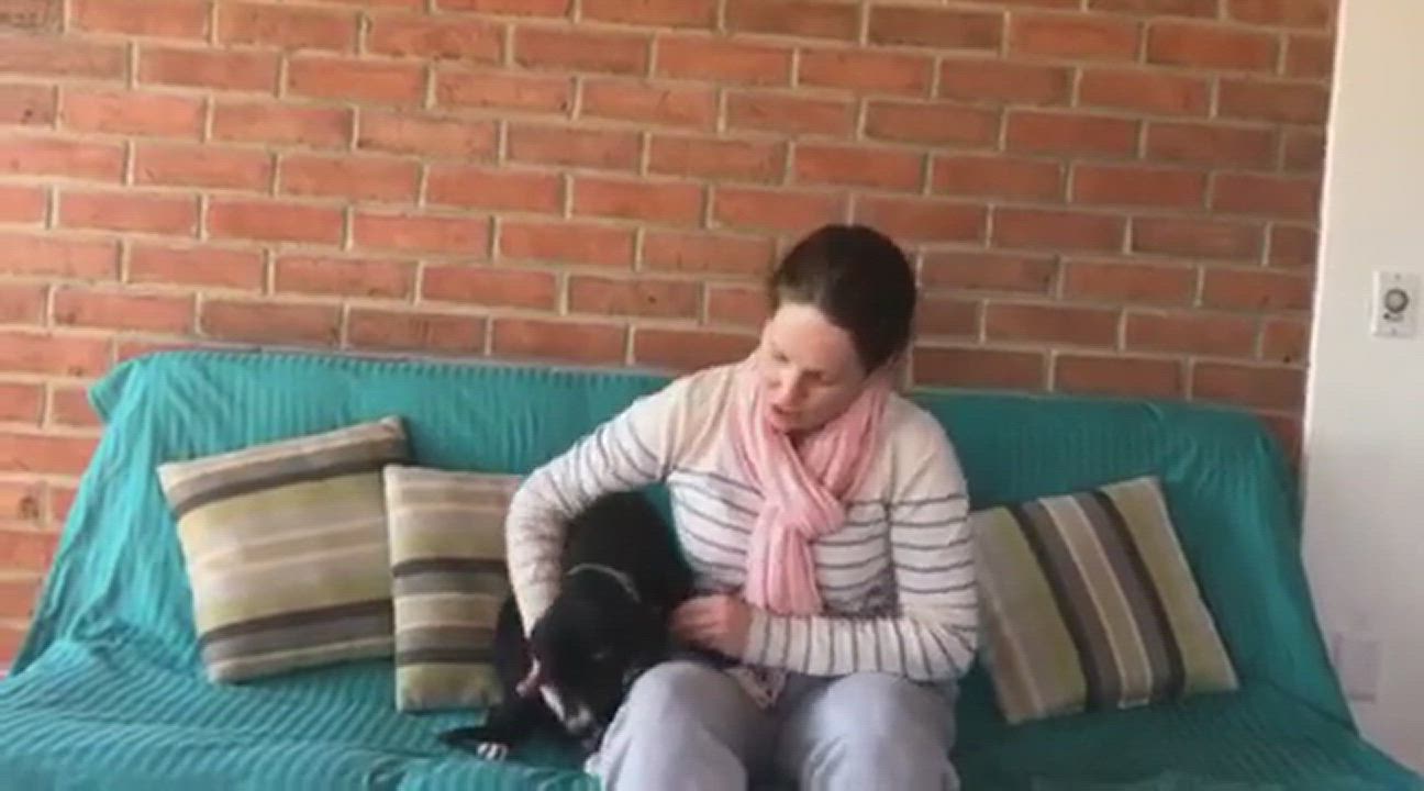 Enlarge Abby, a Adopted mixed breed in San Francisco, CA video 4/7