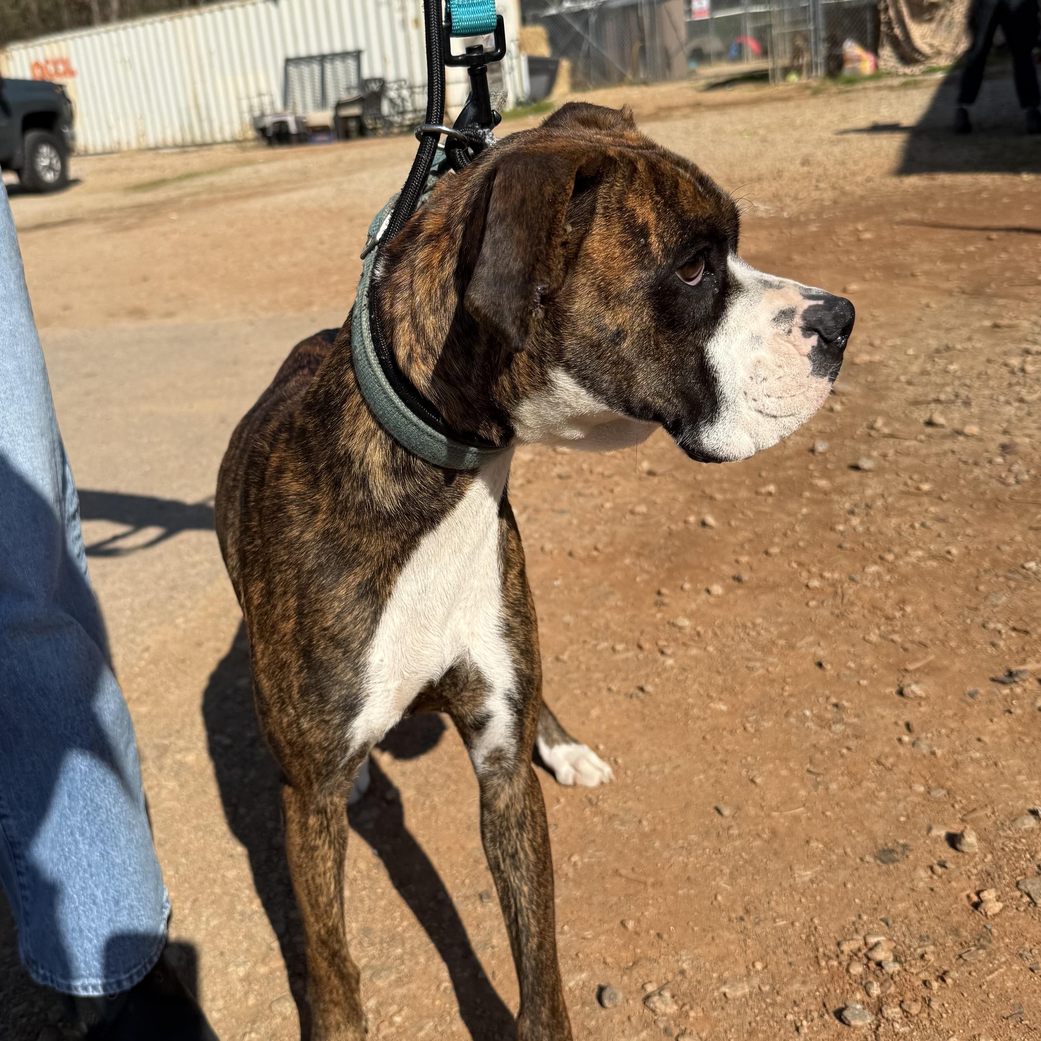 Puzzle — thumbnail 3