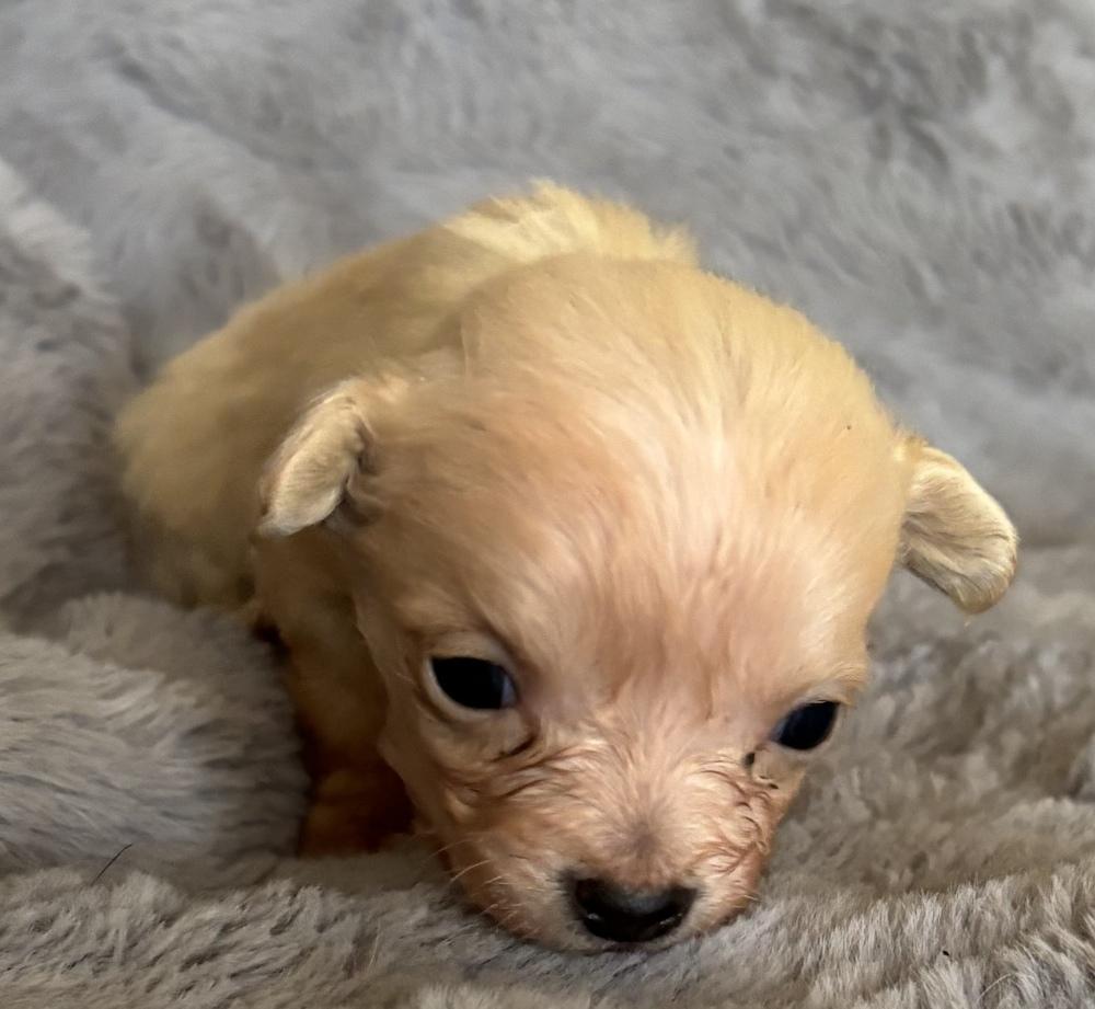 Hogwarts: Harry thumbnail 2