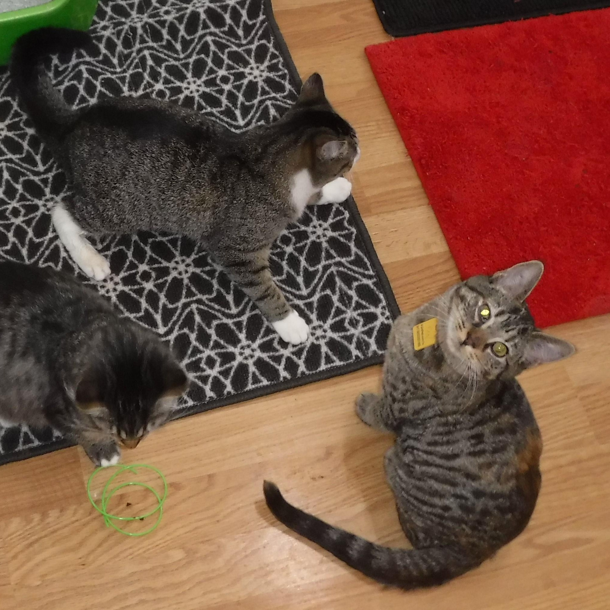 Jan  Super Friendly thumbnail 3