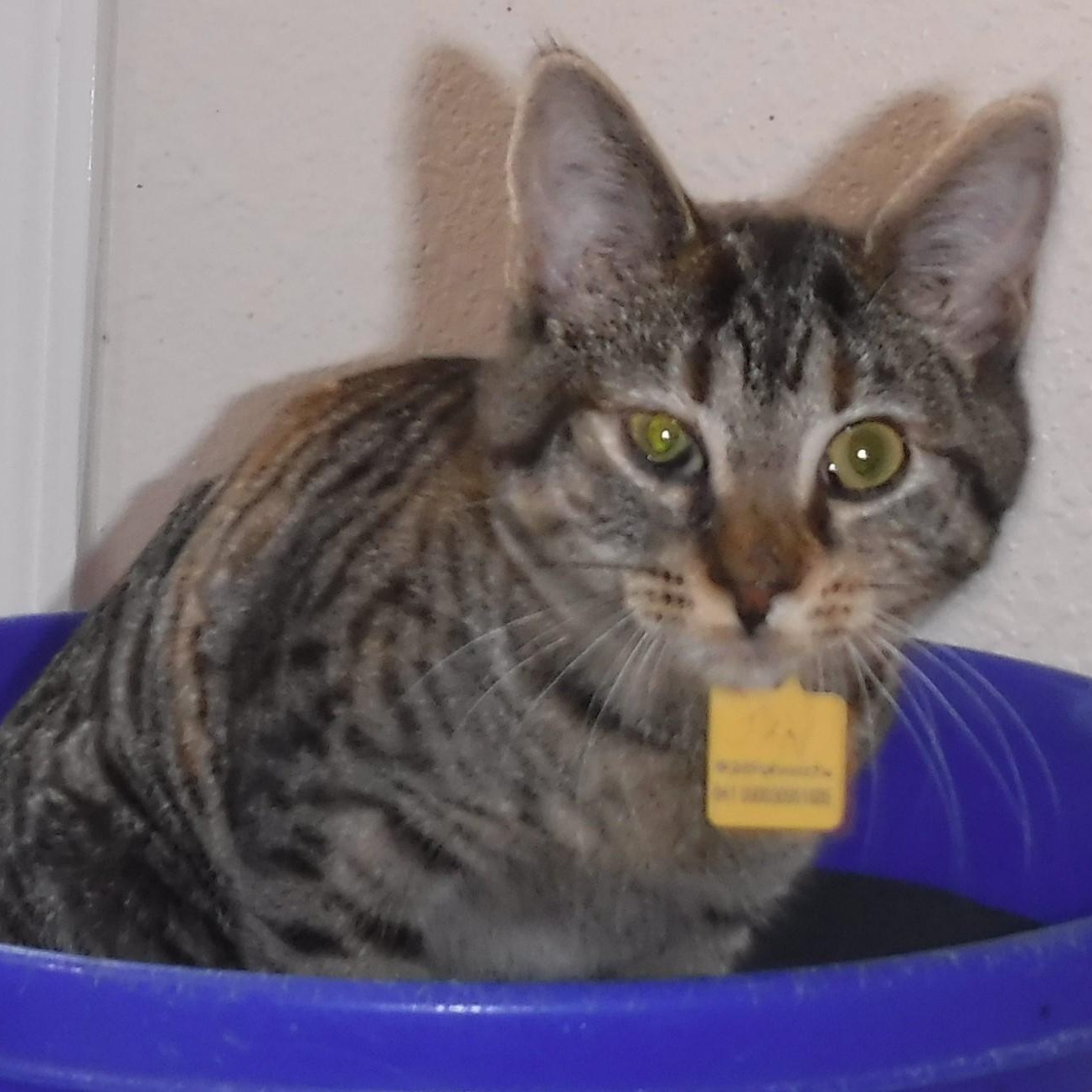 Jan  Super Friendly thumbnail 2