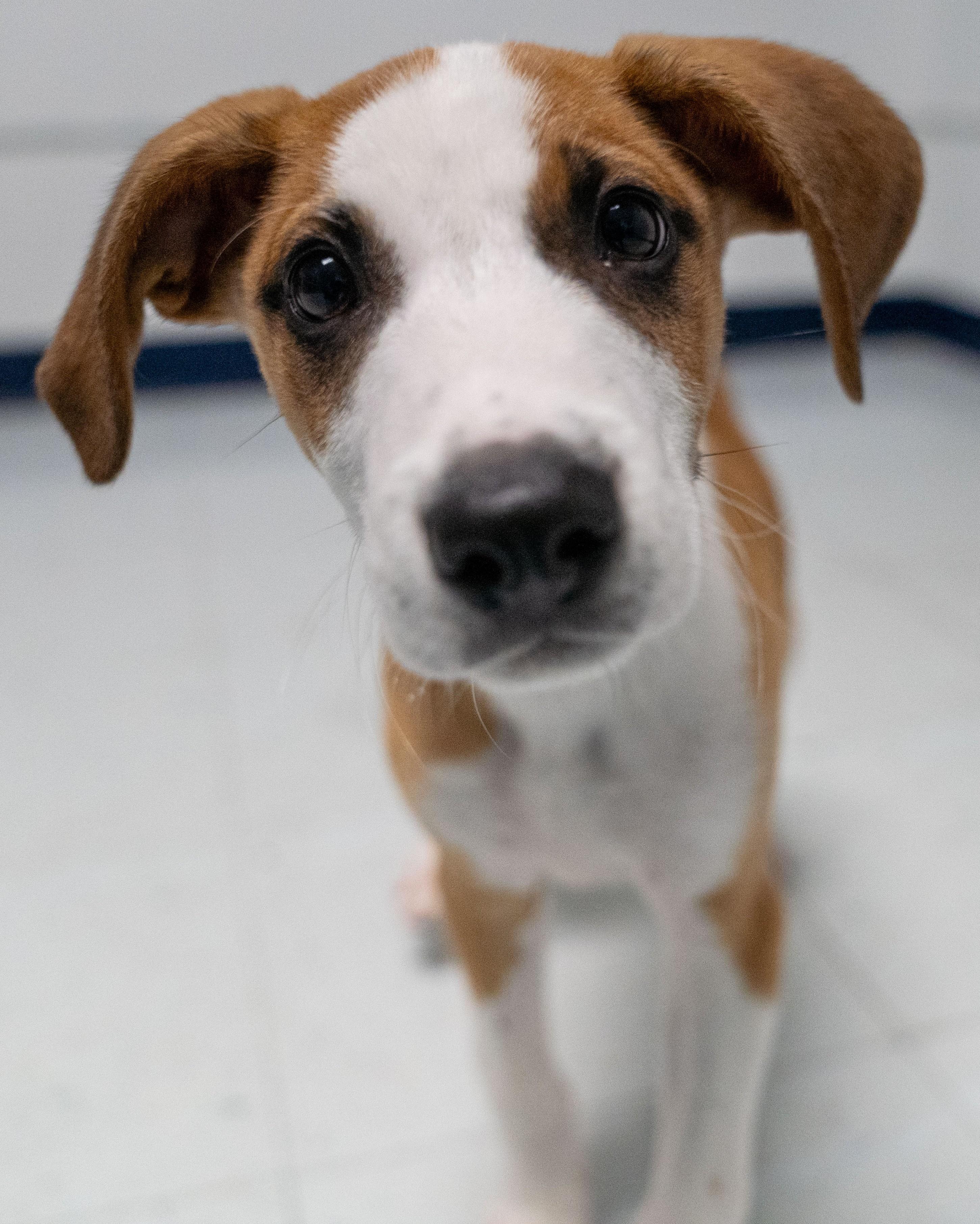 Ted photo 6