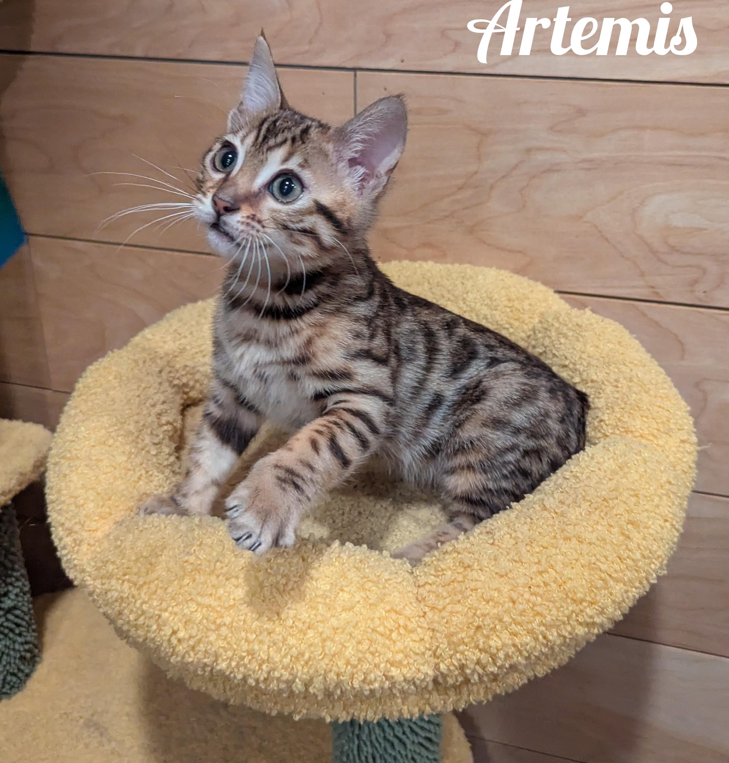 Persephone and Artemis