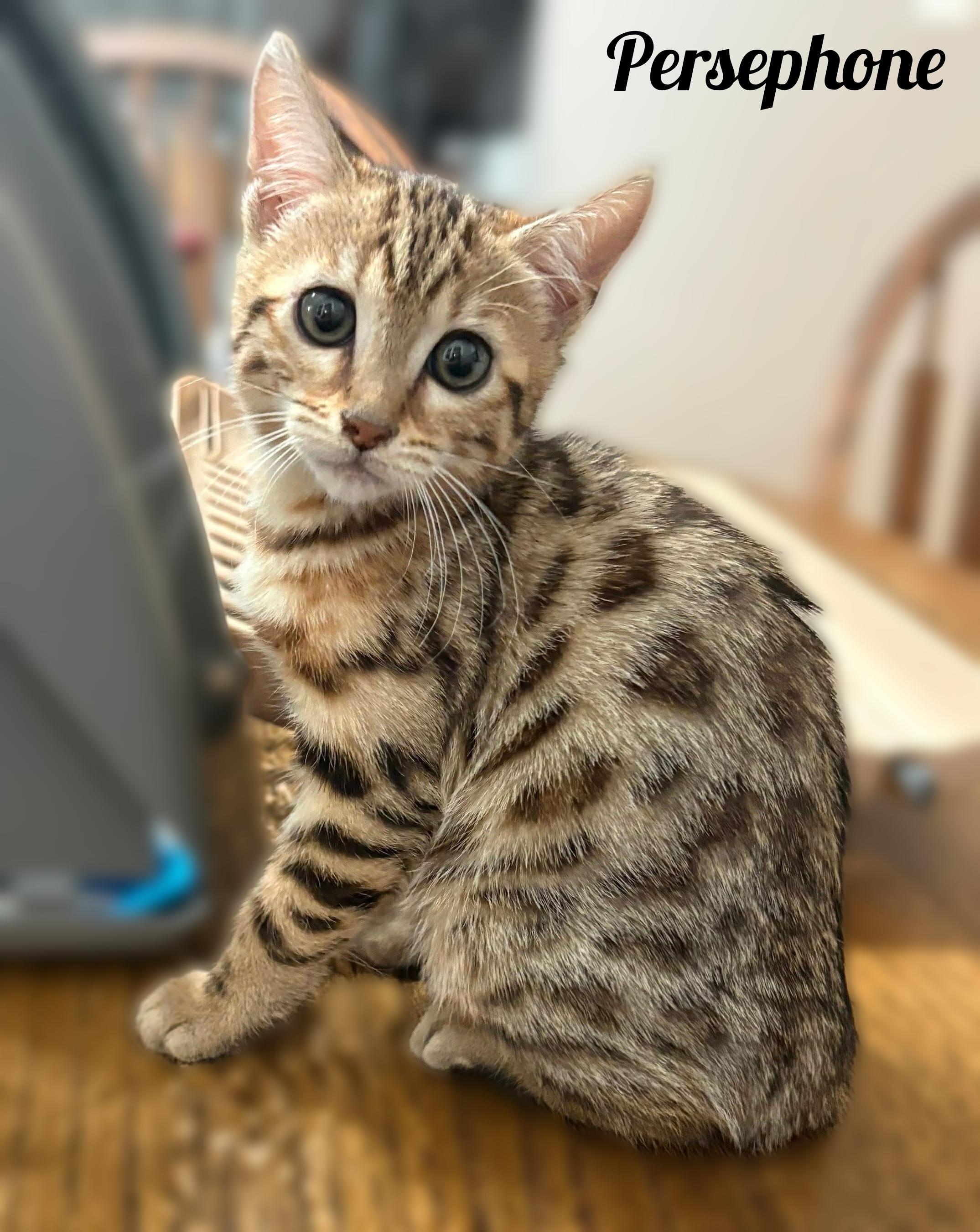 Persephone and Artemis