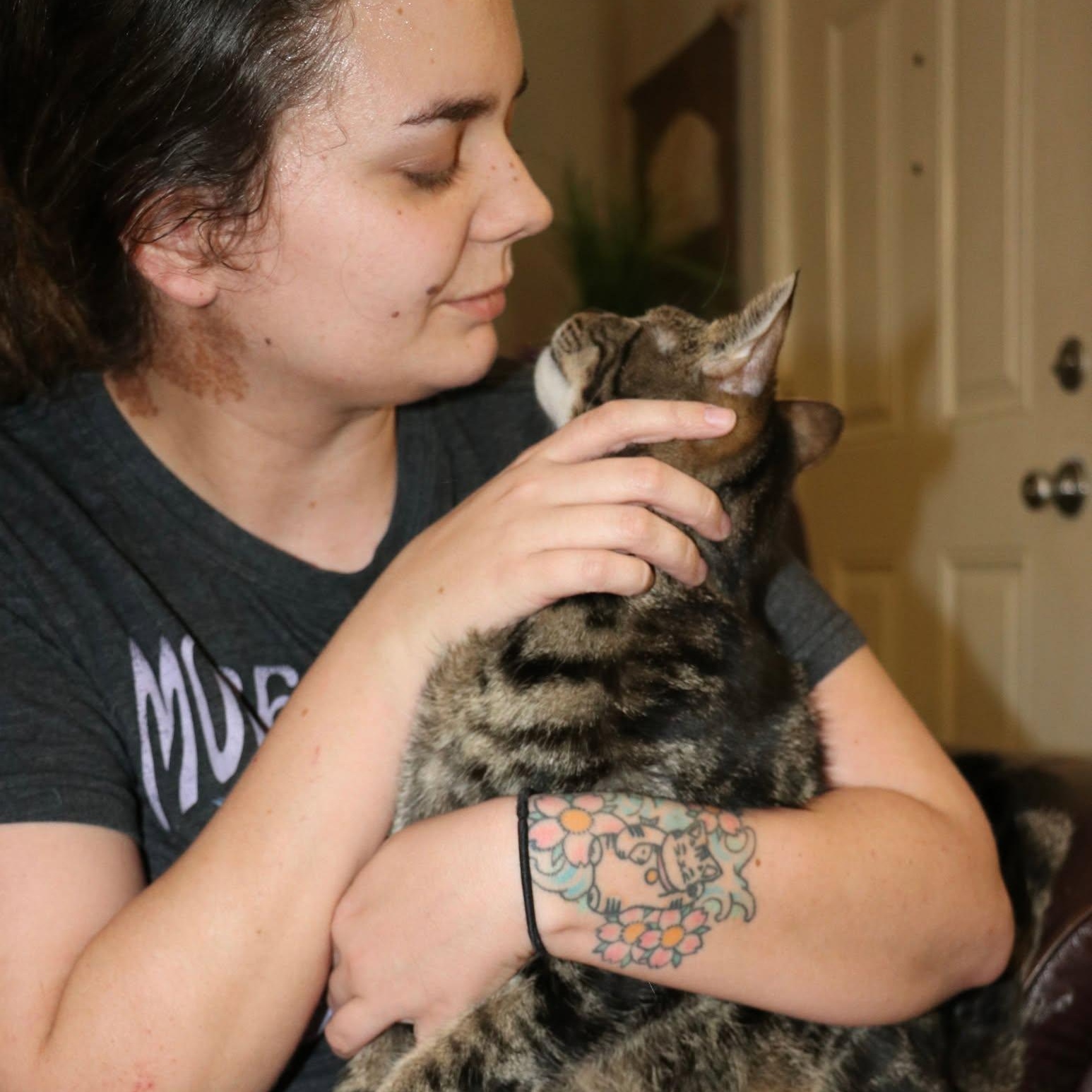 Legendary Link - Hero of Your Heart, an adoptable Tabby, Domestic Short Hair in Corpus Christi, TX, 78418 | Photo Image 3