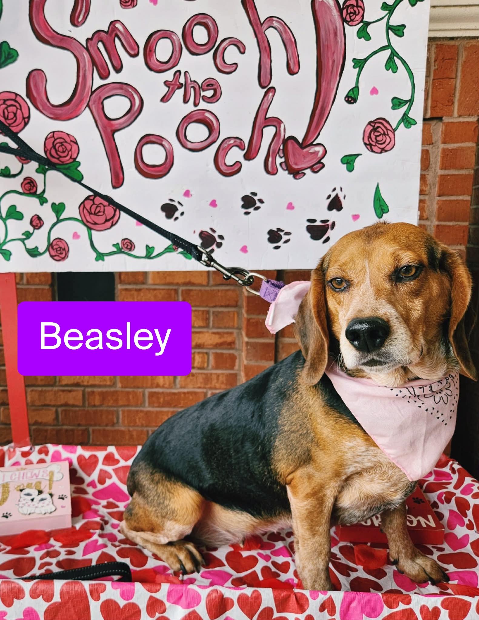 Beasley — thumbnail 2