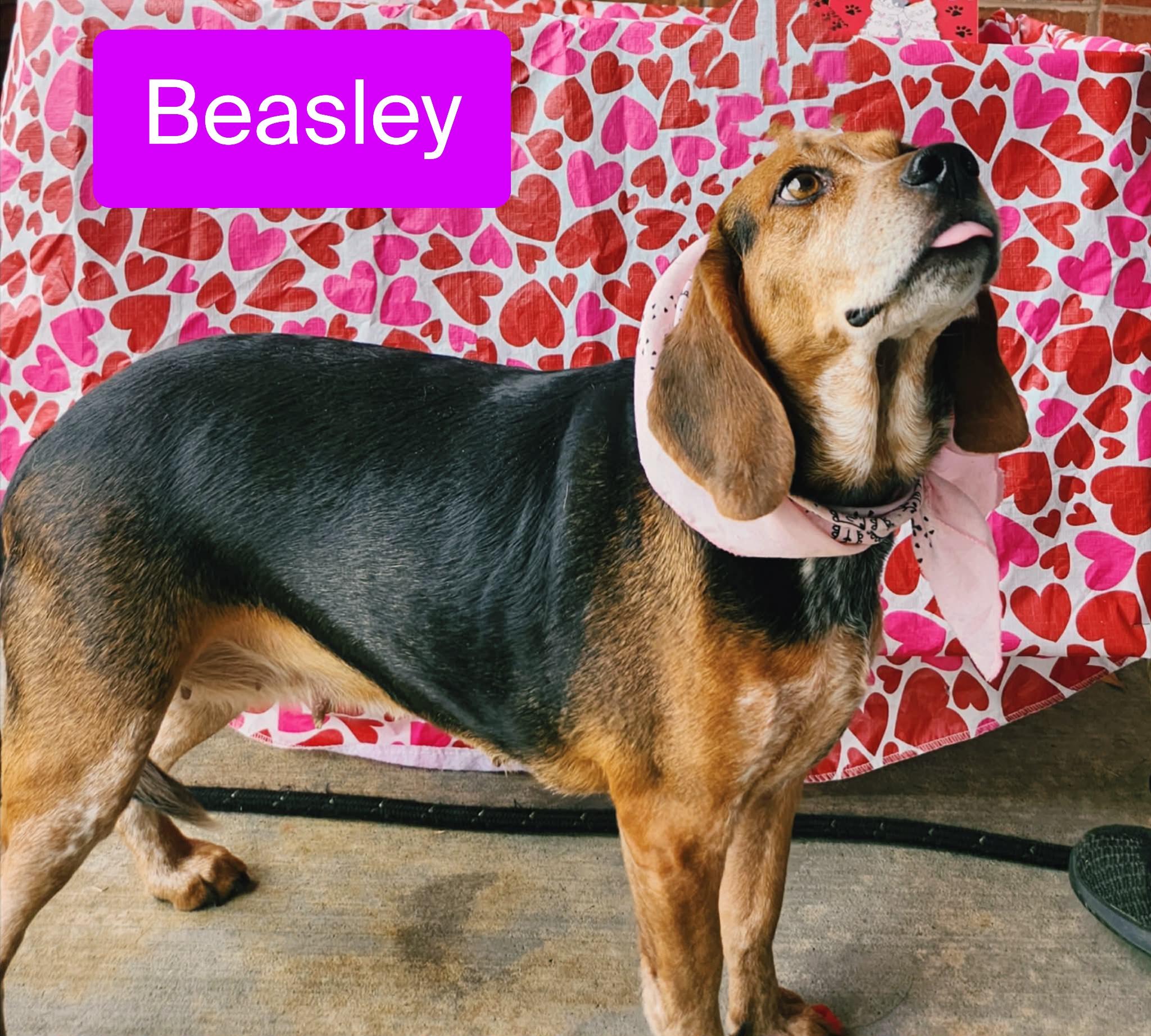 Beasley — thumbnail 3