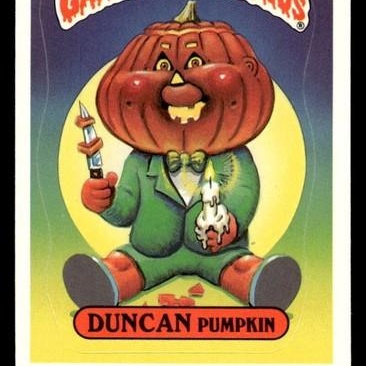 Enlarge Duncan Pumpkin, an adopted Domestic Short Hair in Brookings, SD image 4/4