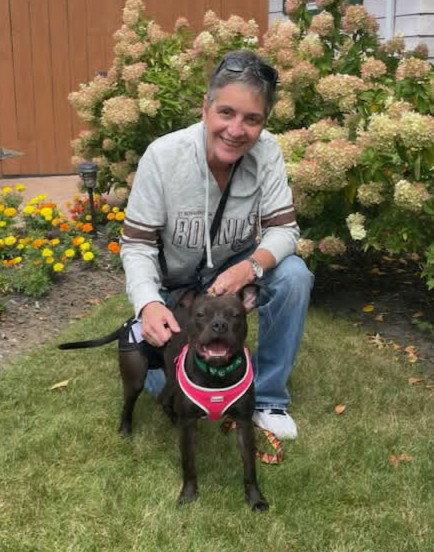 Enlarge Dolly, a Adoptable Pit Bull Terrier in Rochester, NY image 3/3