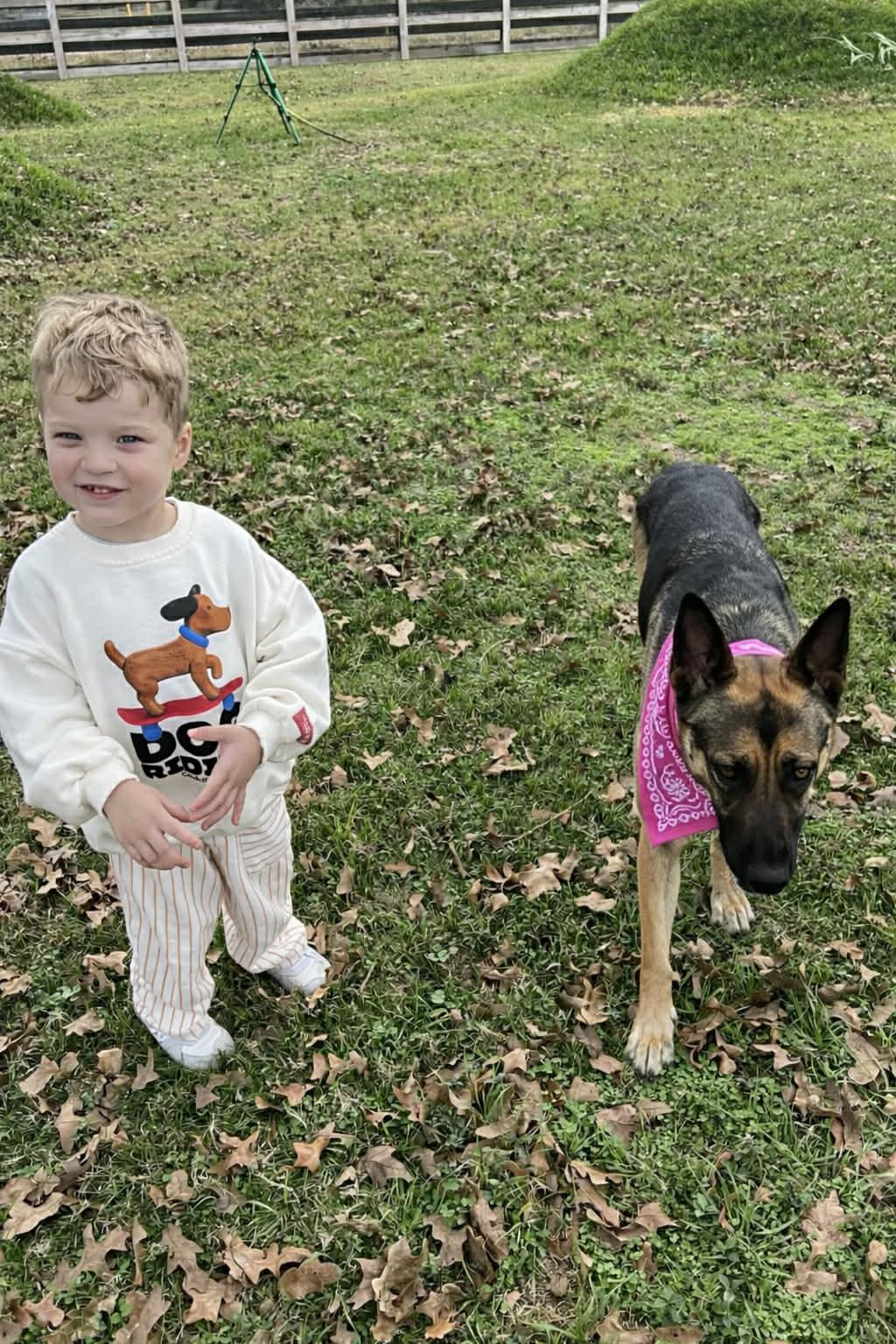 OLIVE GS — thumbnail 5