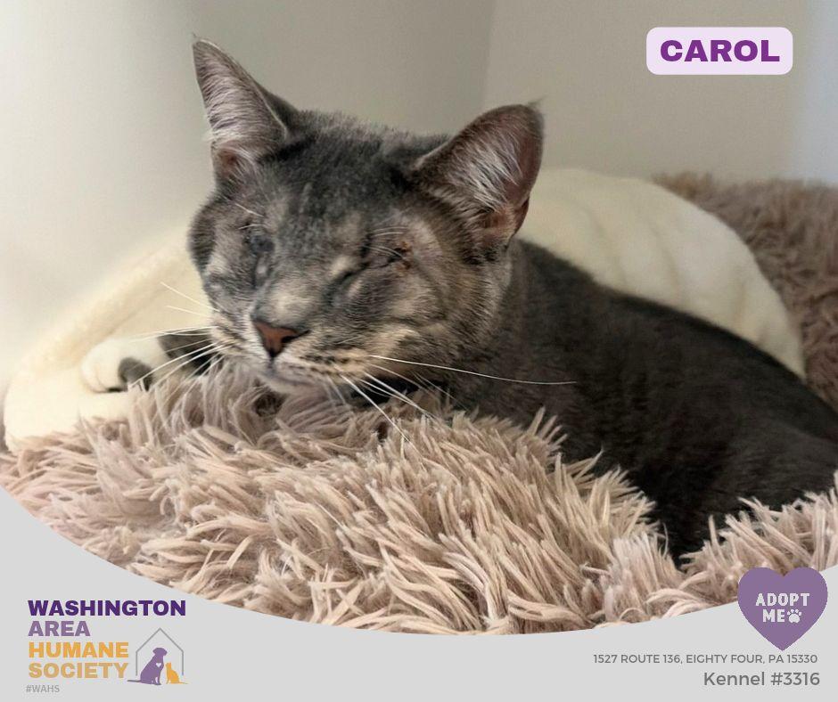 Carol photo