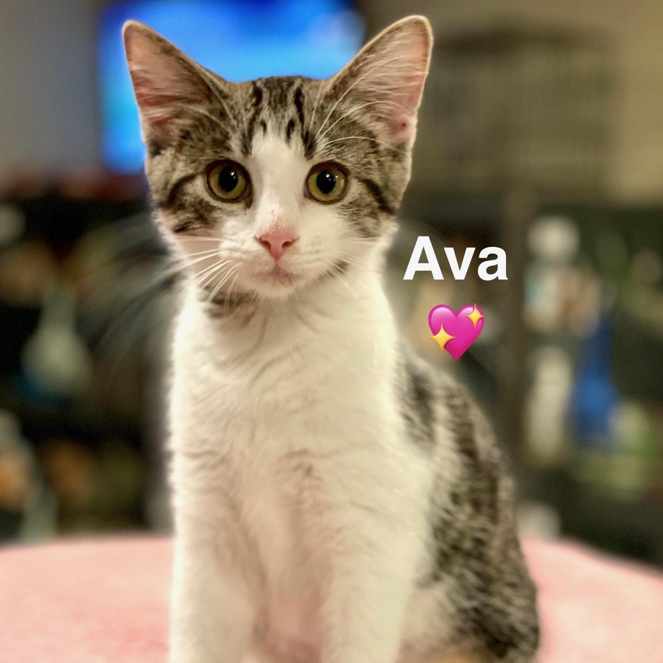 Ava