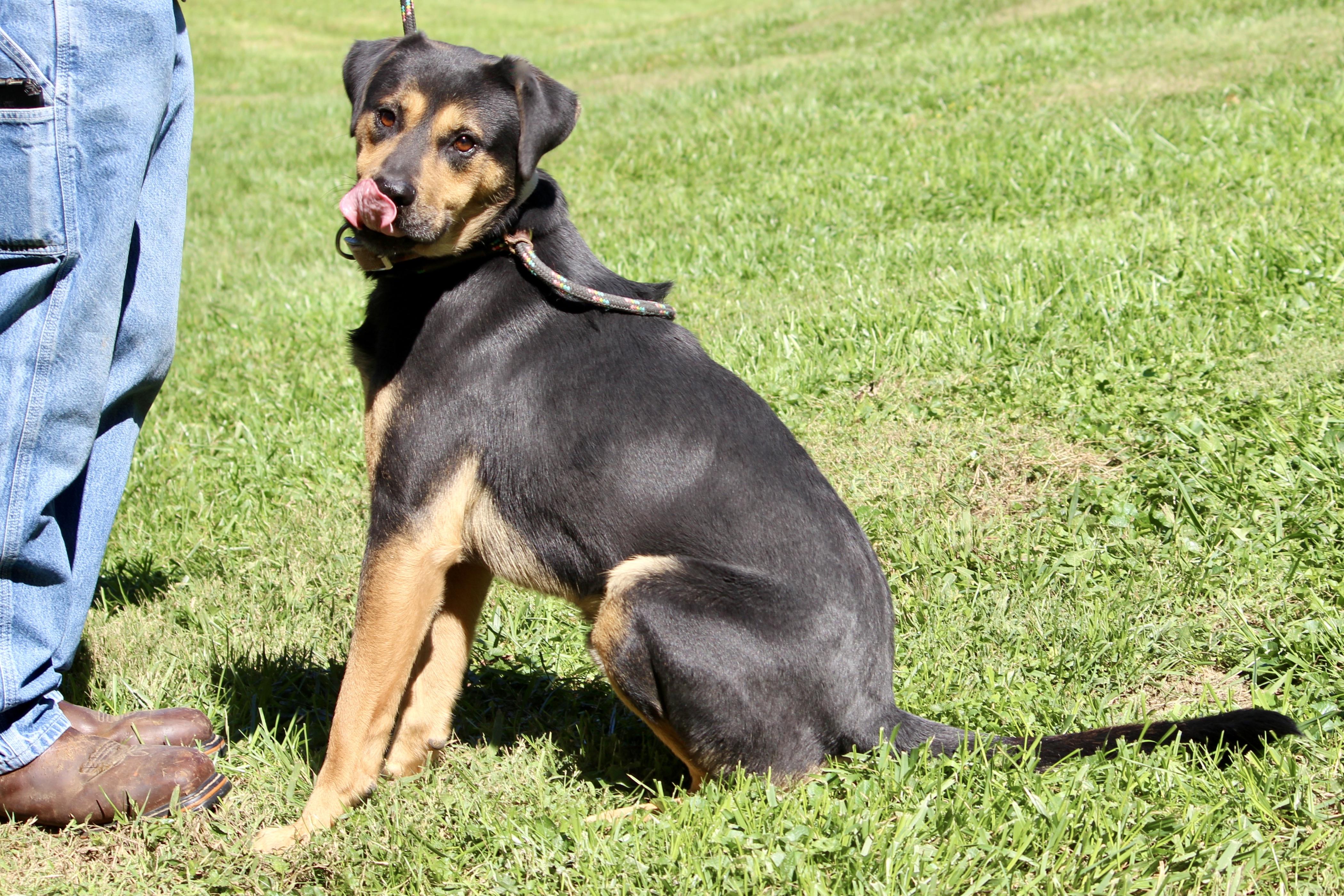 JOHNNY CASH — thumbnail 4