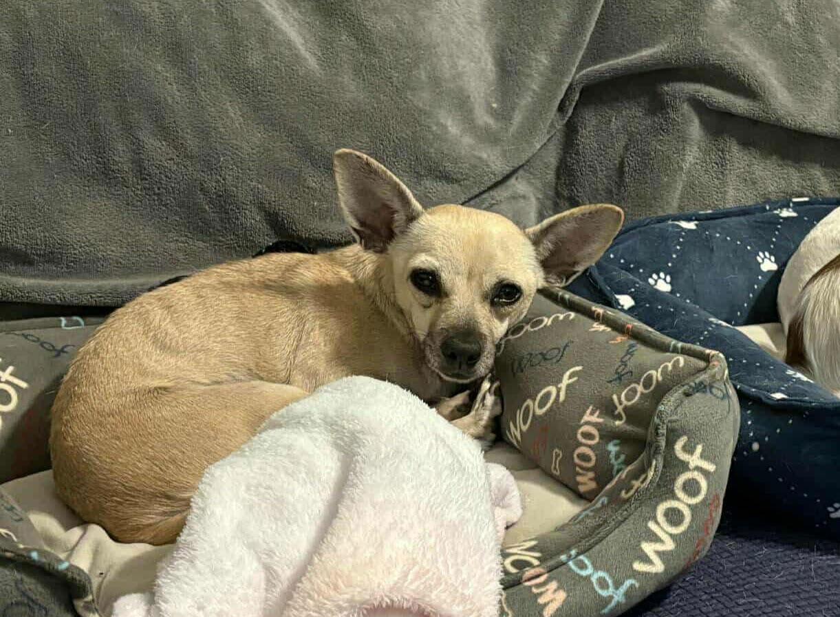 Nina Arriving thumbnail 2