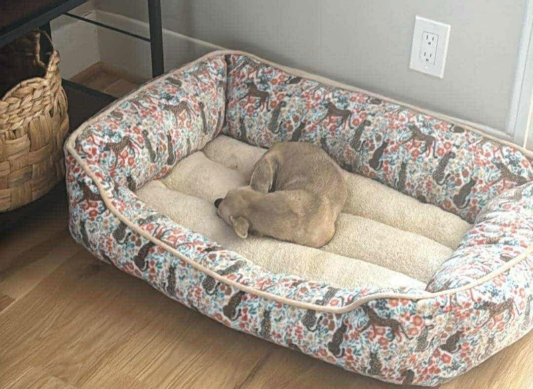 Nina Arriving thumbnail 3