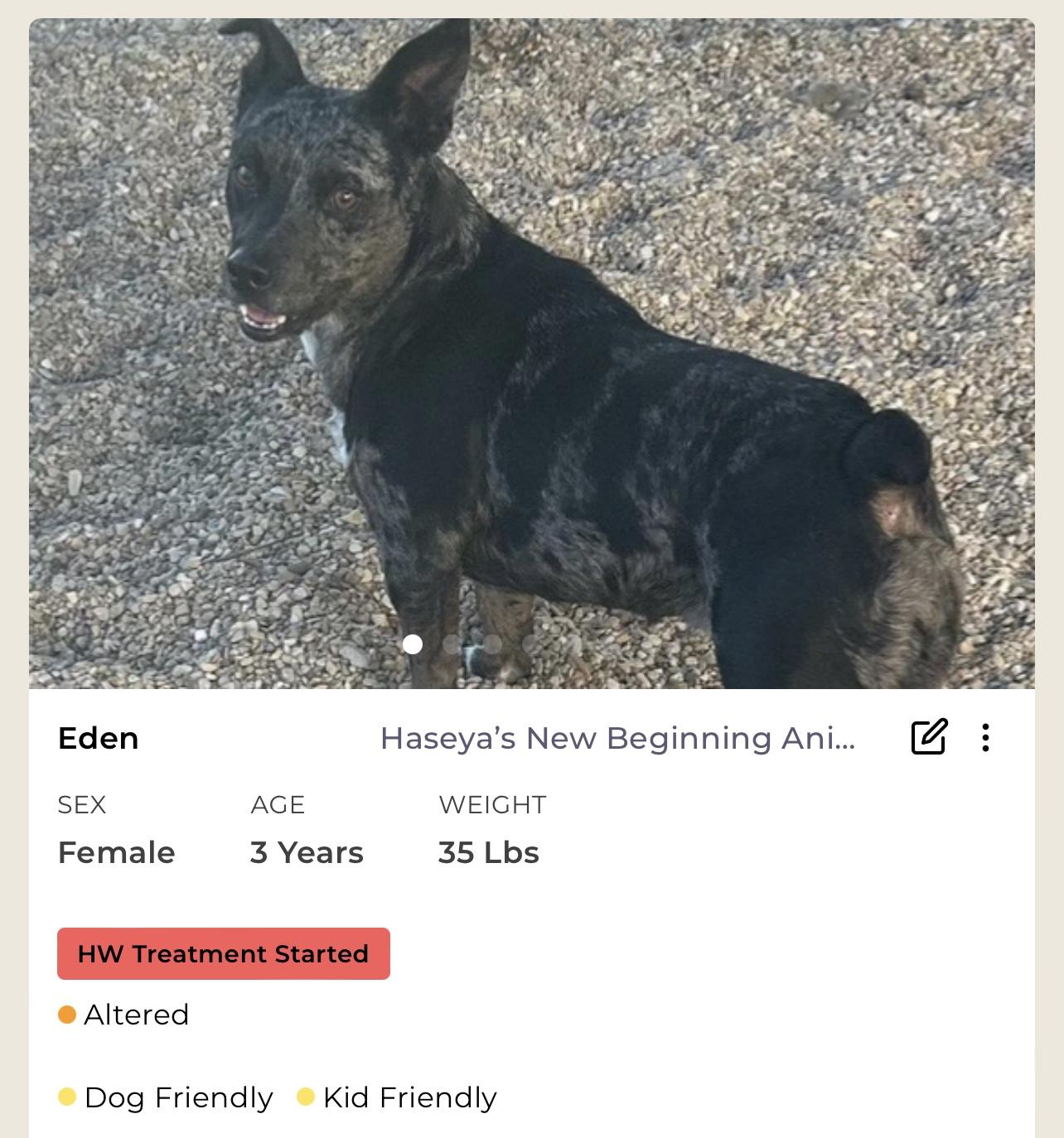 Eden, a Adoptable Mixed Breed in Rayne, LA image 3/3