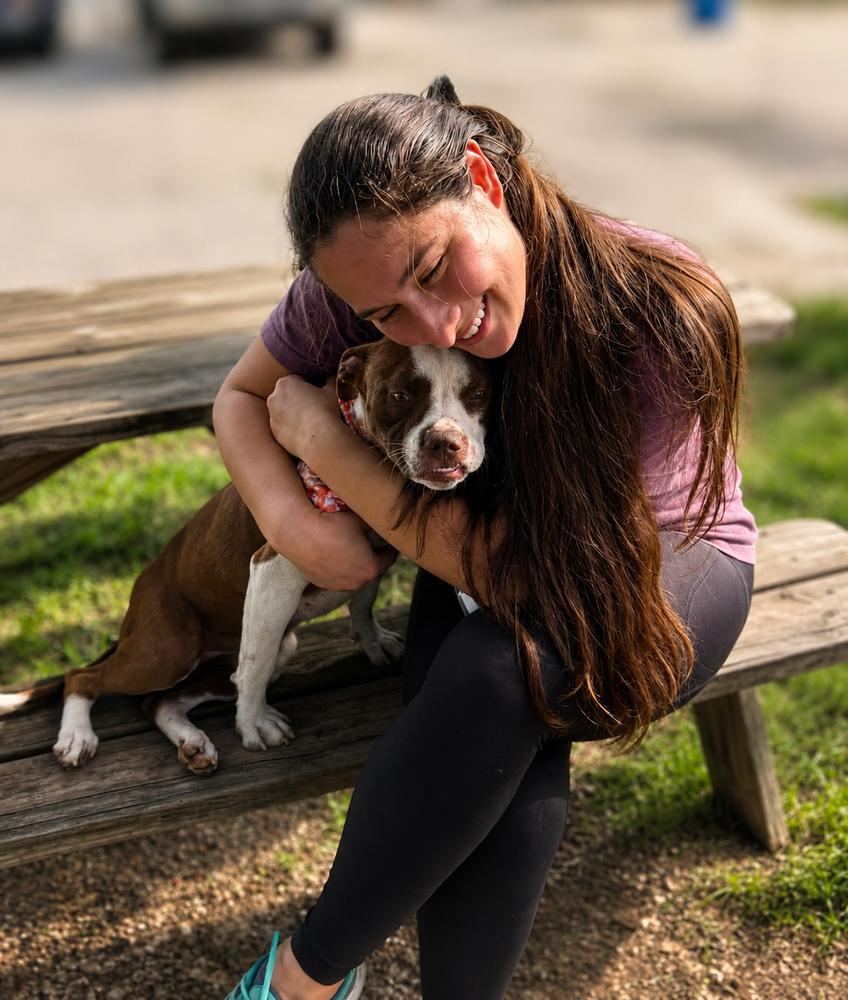Enlarge Megan, a Adoptable mixed breed in Saugus, MA image 6/6