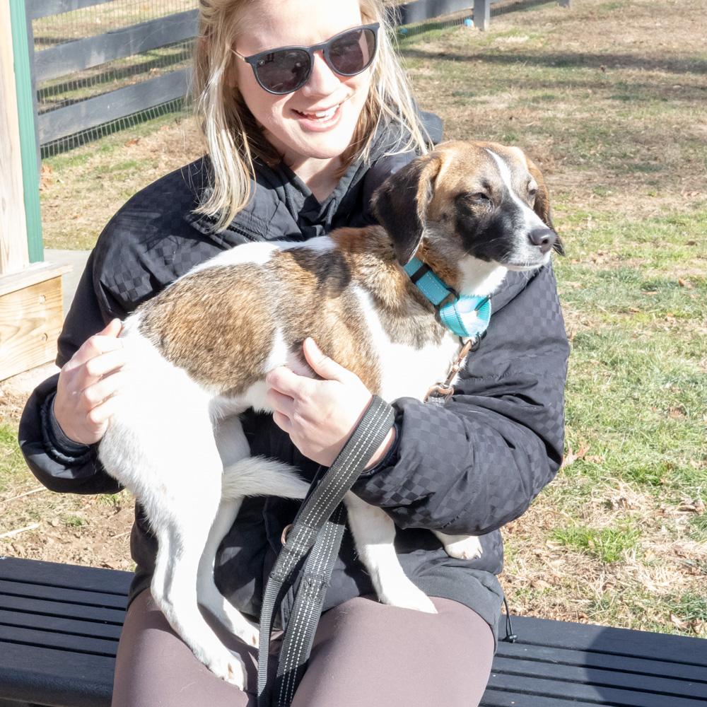Enlarge Betty (Female)  , a Adoptable mixed breed in West Grove, PA image 2/6
