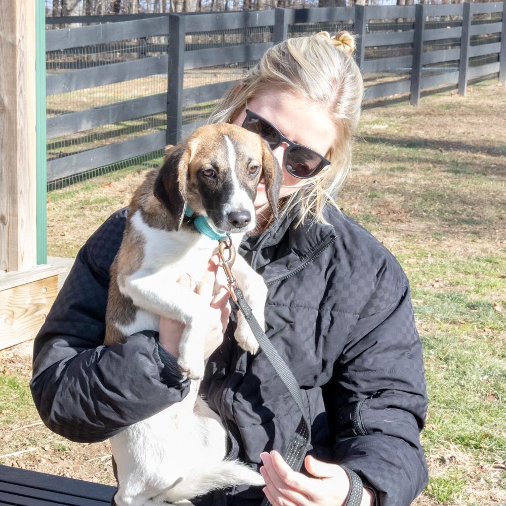 Enlarge Betty (Female)  , a Adoptable mixed breed in West Grove, PA image 6/6
