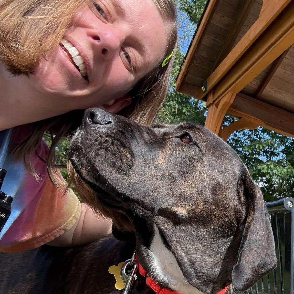 Enlarge Marleigh May, a Adoptable mixed breed in Baltimore, MD image 1/6