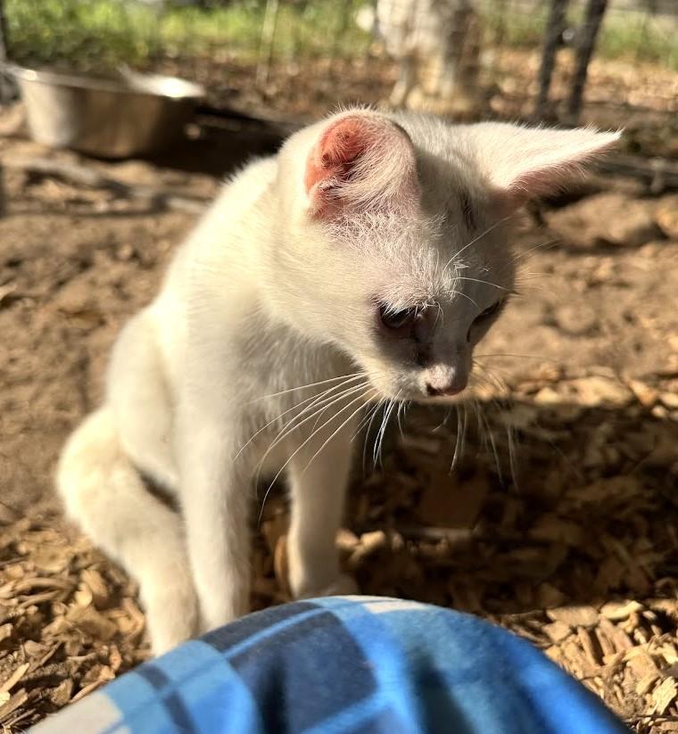 SALEM