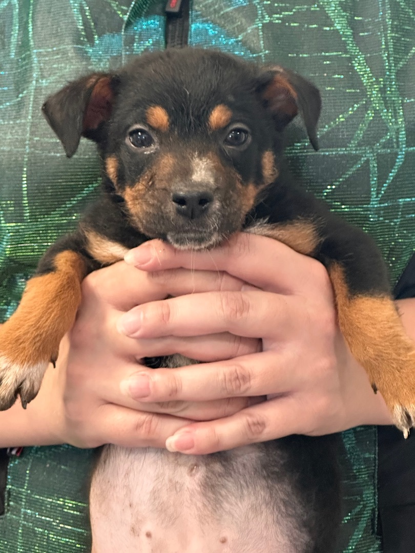 Winnie — thumbnail 2