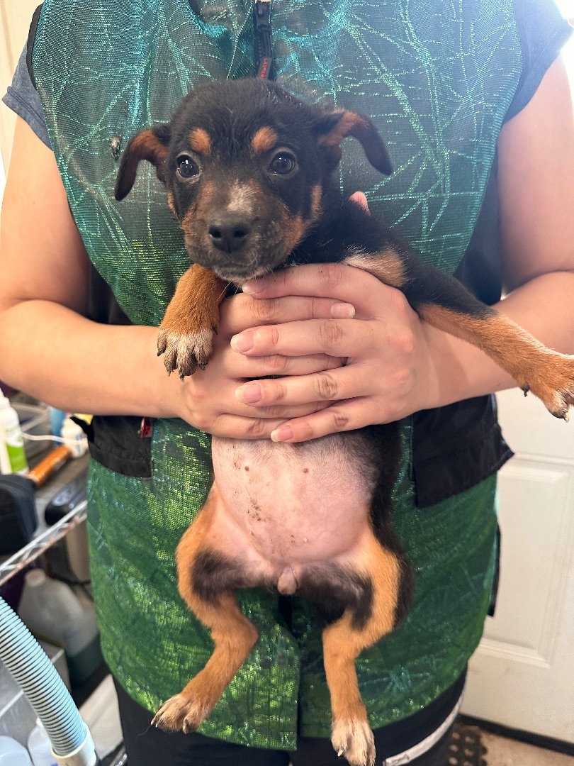 Winnie — thumbnail 4