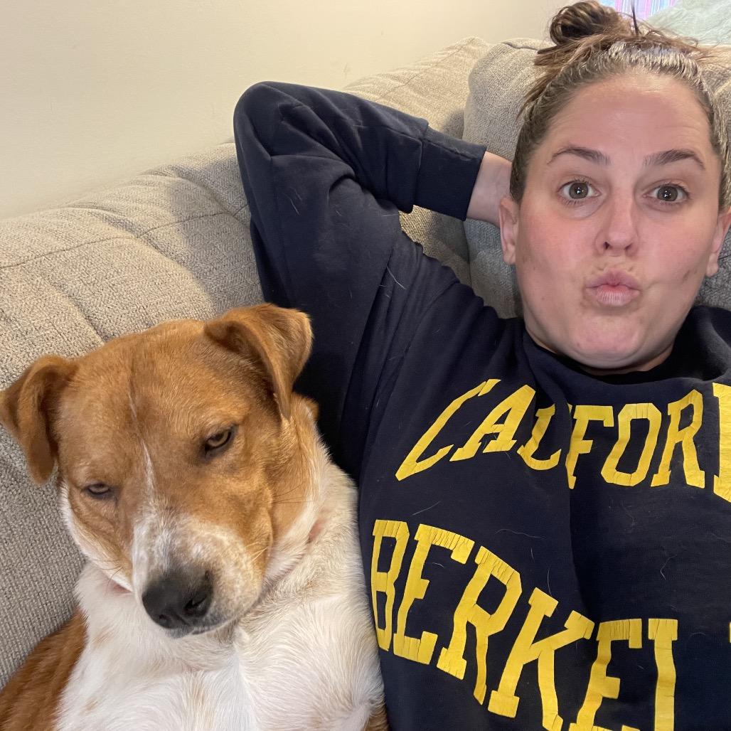 Louise *Adoption Pending*, Adoptable, Young Female Cattle Dog & Mixed Breed.