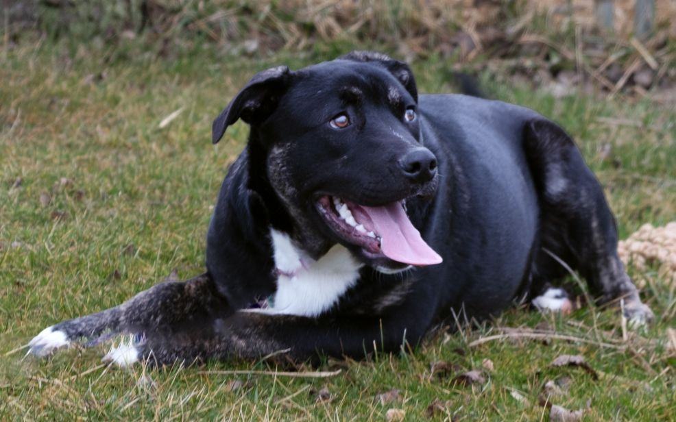 Finn photo 4