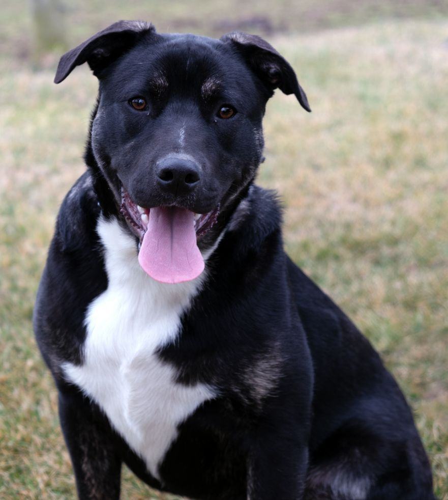 Finn photo 2