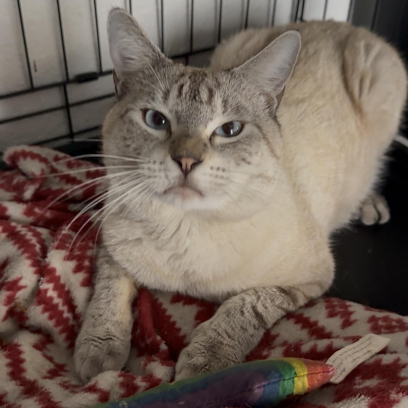 Ghost — thumbnail 3