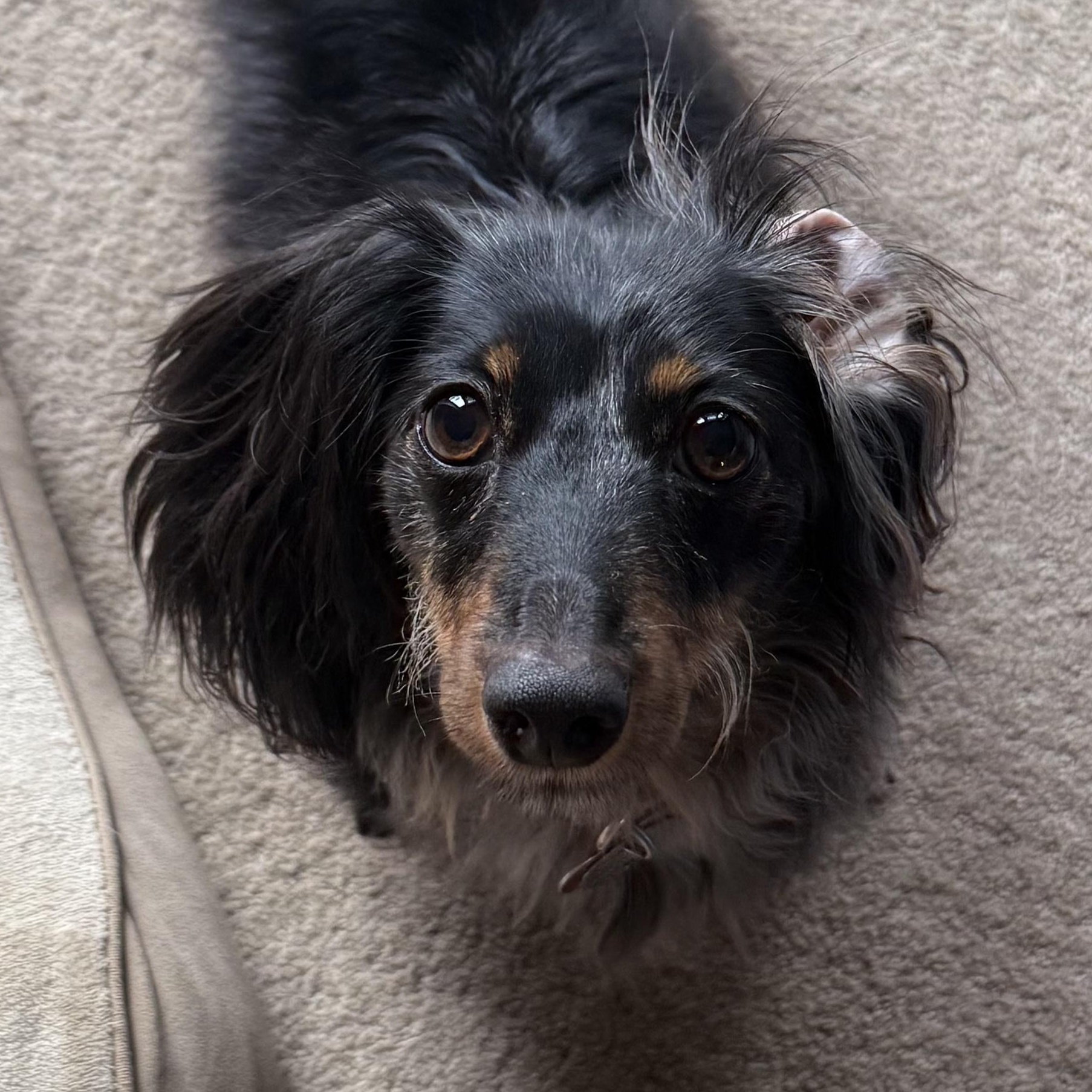 Rosie