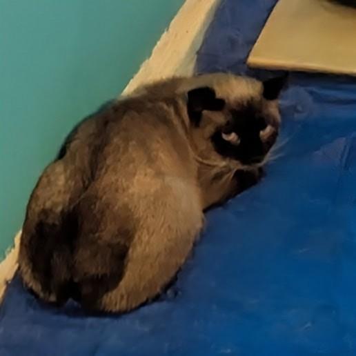 Abner — thumbnail 4