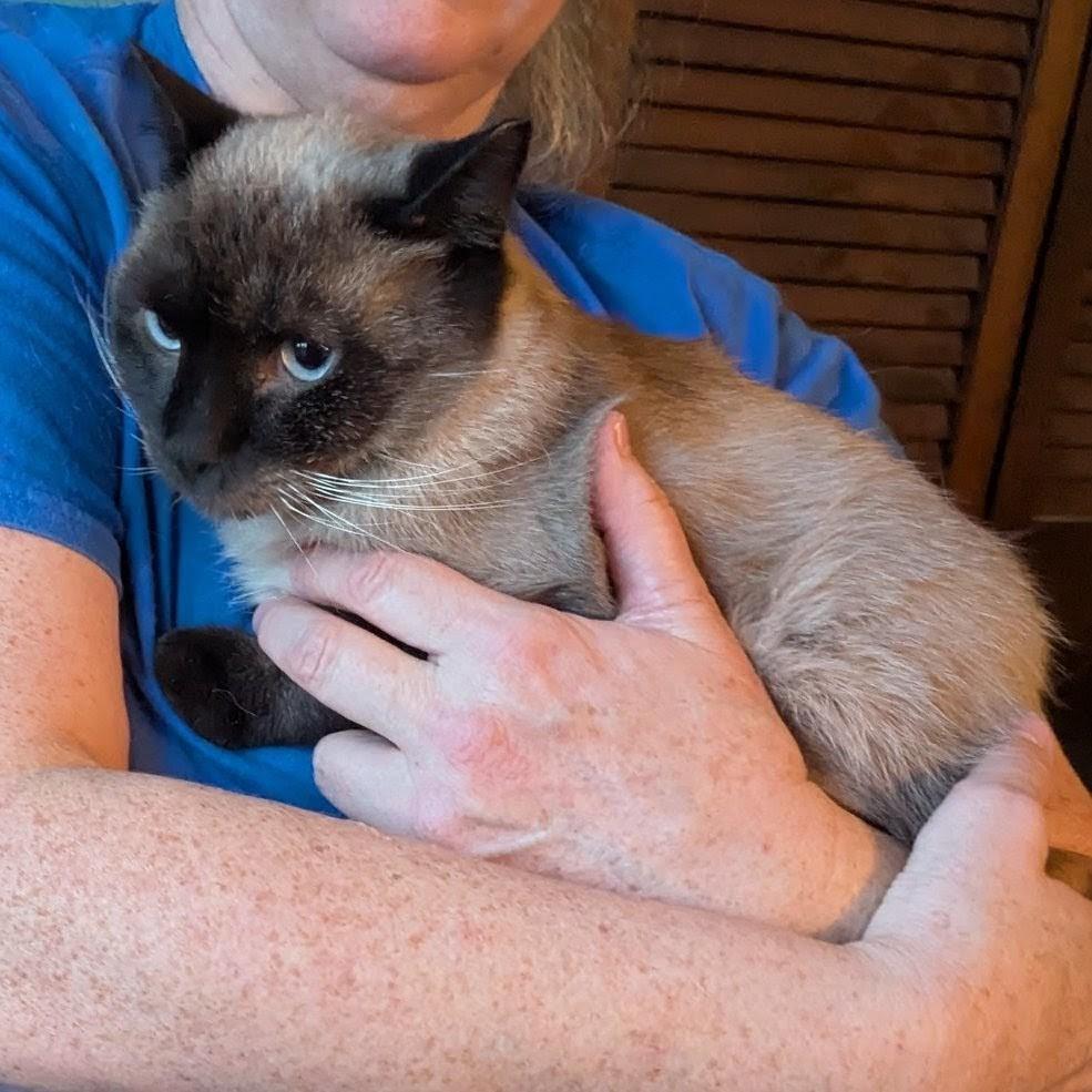 Abner — thumbnail 5