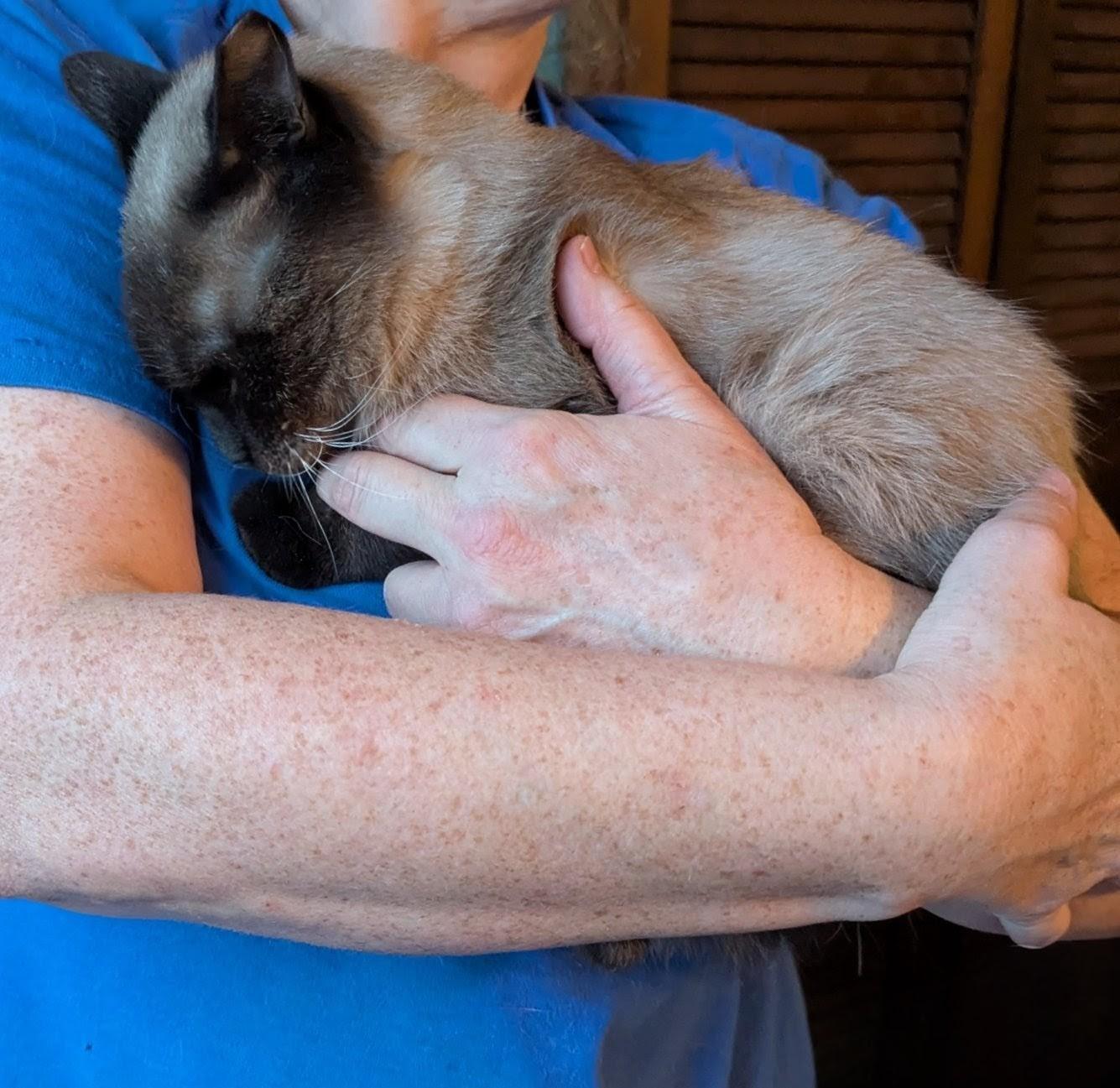 Abner — thumbnail 6