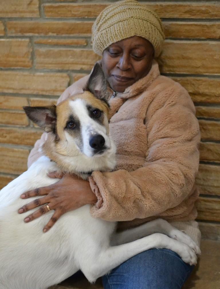 Enlarge Arlo, a ADOPTABLE mixed breed in White Plains, NY image 4/5