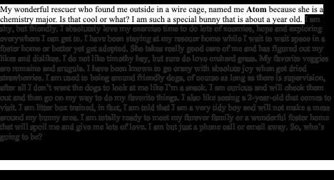 Enlarge Atom, a ADOPTABLE Dwarf in San Antonio, TX image 2/2