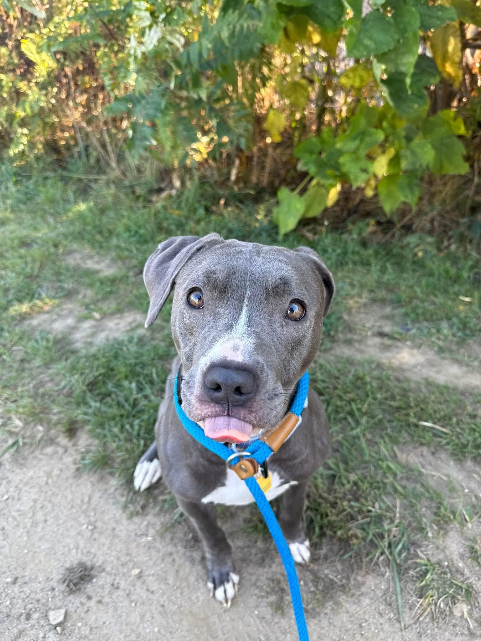 Della