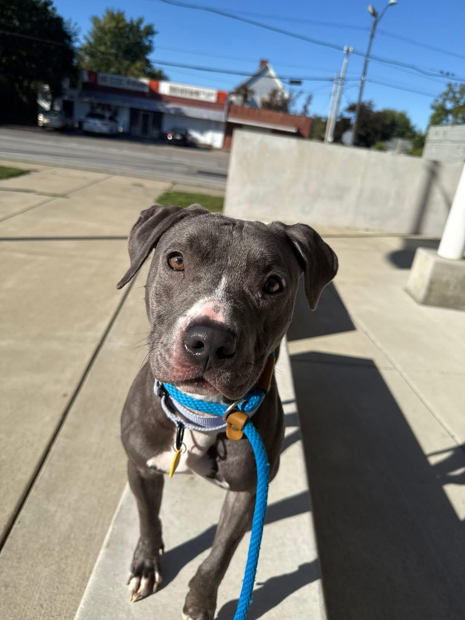 Della